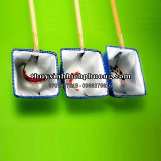 VỢT CÁ BETTA - VỢT VẢI KHÔNG THẤM NƯỚC