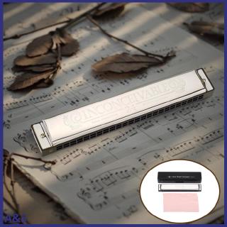 Kèn harmonica 24 lỗ swan sw24-4 48 tông c