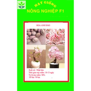 Gói 10 hạt giống hoa anh đào nhật bản