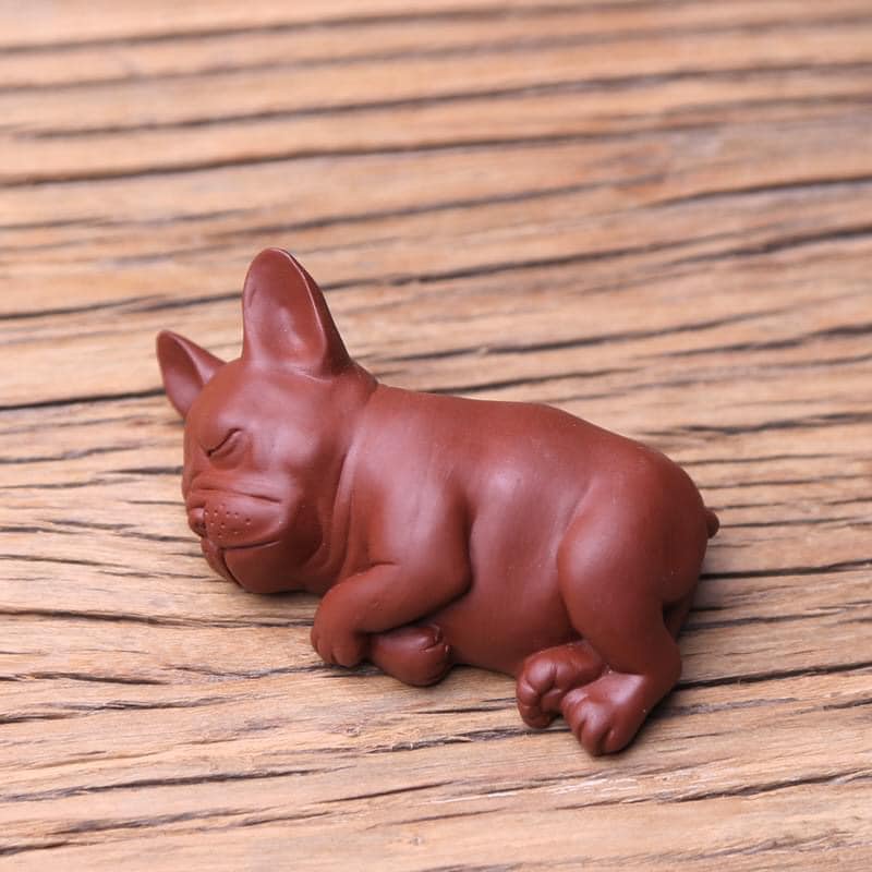 Pet bàn trà bull nằm ngủ