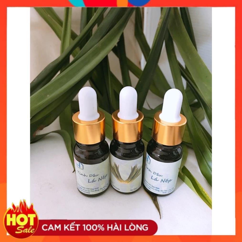 Combo 03 Lọ Tinh dầu Lá Nếp 10ml