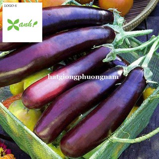 Hạt giống Cà Tím Dài F1 1gram