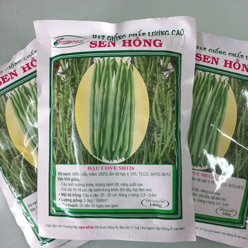 Hạt giống đậu cove  SH126 Sen Hồng 100g
