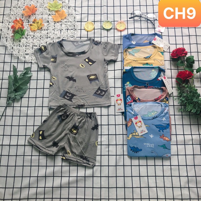 Quần áo bé trai  1.2.3.4.5-8 tuổi set đồ bộ thun lạnh co giãn 4 chiều cao cấp xuất Hàn CH7-CH12 BABYSTORE88