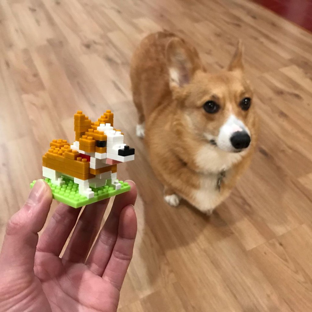 Bộ Đồ Chơi Lắp Ráp Lego Hình Chú Chó Corgi Dễ Thương