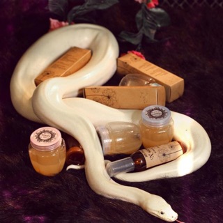 Mỡ trăn nguyên chất 100%