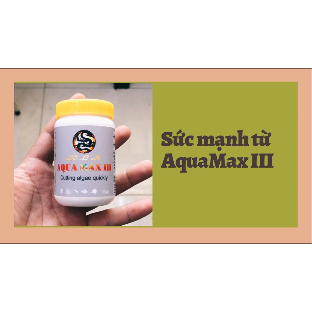 Men Diệt Tảo Aqua Max III