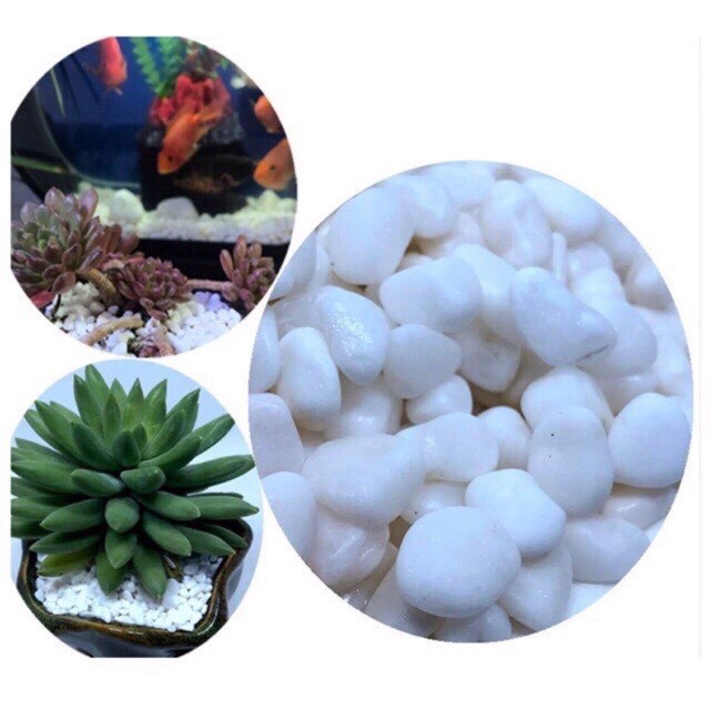 Sỏi đá trắng bỏ gốc cây , trang trí cây bon sai, bể cá , sân vườn nhiều size