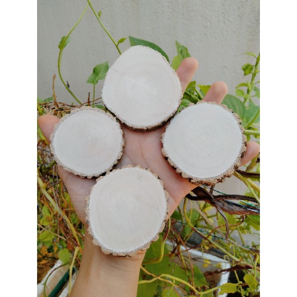 100 lát gỗ trơn Decor 3-4cm