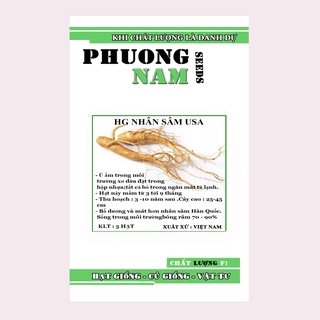 20H - HẠT GIỐNG NHÂN SÂM MỸ