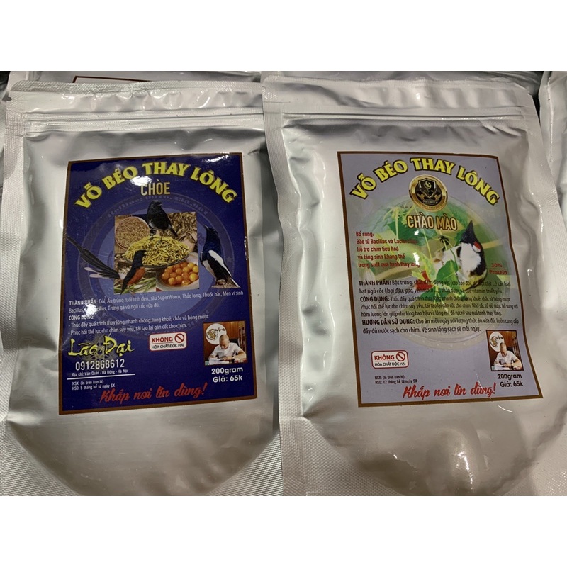 Cám vỗ béo thay lông choè-lão đại