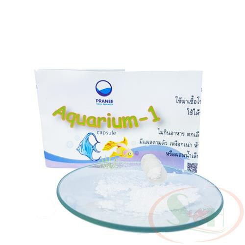 Viên Sát Khuẩn Pranee Aquarium-1 Trị Chết Lai Rai - Lẻ 1 viên