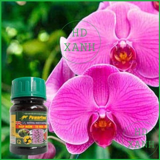 Phân bón hữu cơ kích thích ra hoa powerfeed 100ml