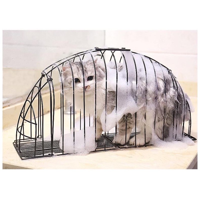 [Mã PET50K giảm Giảm 10% - Tối đa 50K đơn từ 250K] [Mã 153FMCGSALE1 giảm 10% tối đa 40K đơn 250K] Lồng tắm cho mèo