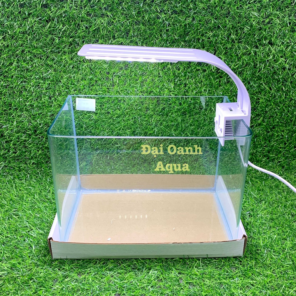 Bộ Bể Cá Kính Đúc Mini 25cm Kèm Đèn Lọc Để Bàn, Dài 25cm Rộng 16cm Cao 18cm - Bể Cá Mini