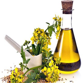 TINH DẦU MÙ TẠT (Mustard ) 100ml