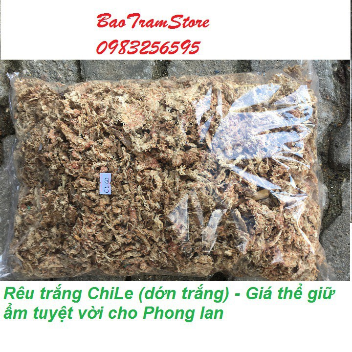 [SIEURE] Rêu trắng ChiLe - Giá thể giữ ẩm tuyệt vời cho phong lan, gói 300g hàng đẹp, phân phối chuyên nghiệp.