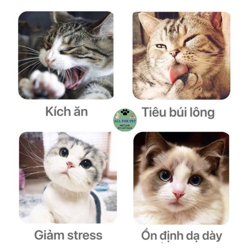 Cỏ catnip bạc hà cho mèo thư giãn dạng ống 30g