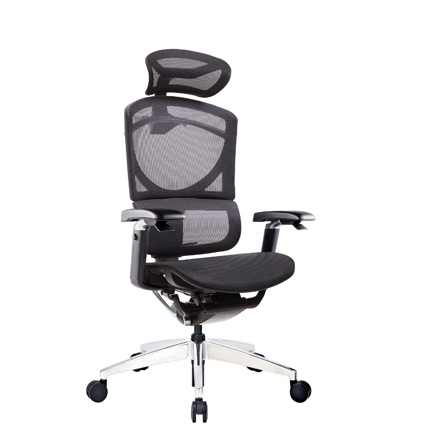 Ghế làm việc công thái học GT Chair Ergonomic Isee Xoay Văn Phòng lưới Cao Cấp thông thoáng, điều chỉnh lưng - ERGOHOME