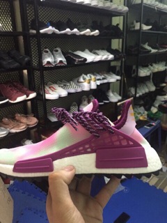 ( Ảnh thật ) Sneaker Human Race tím dây xanh v2