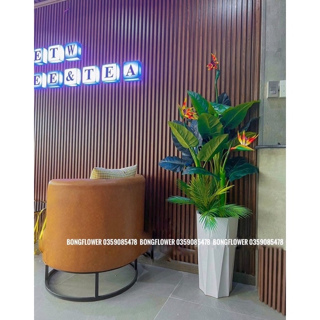 🌴 Cây Dừa Giả Trang Trí Cao 50cm 9 lá