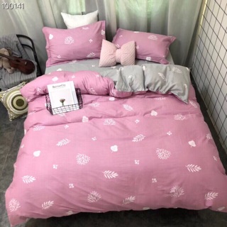 COTTON 40S HÀNG HỘP