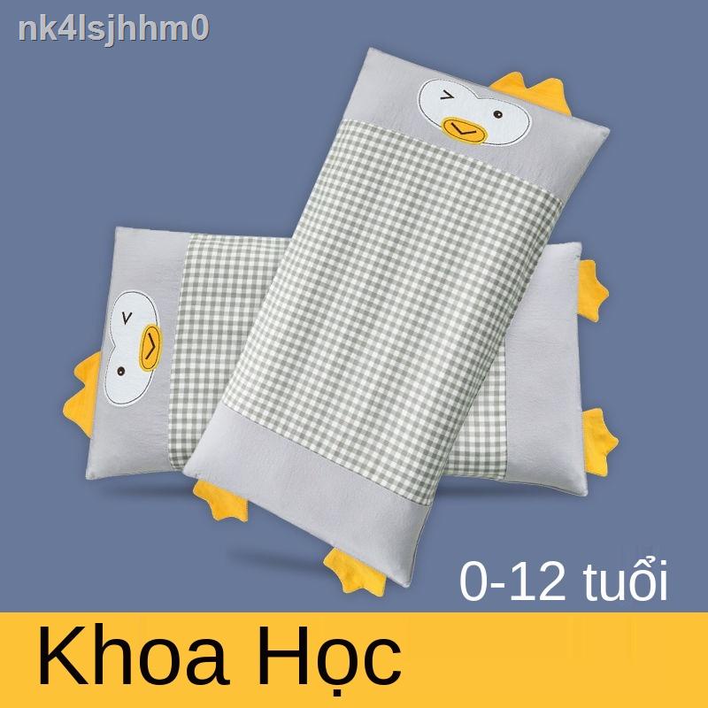 Gối trẻ em tất cả các mùa 1 kiều mạch cho bé 2 hạt cassia 6 tuổi trở lên 4 bé 7 hè 3 tháng 5 bé