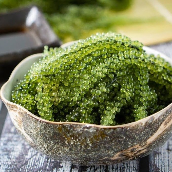 Rong Nho tách nước chính hãng Okinawa Hộp 100g