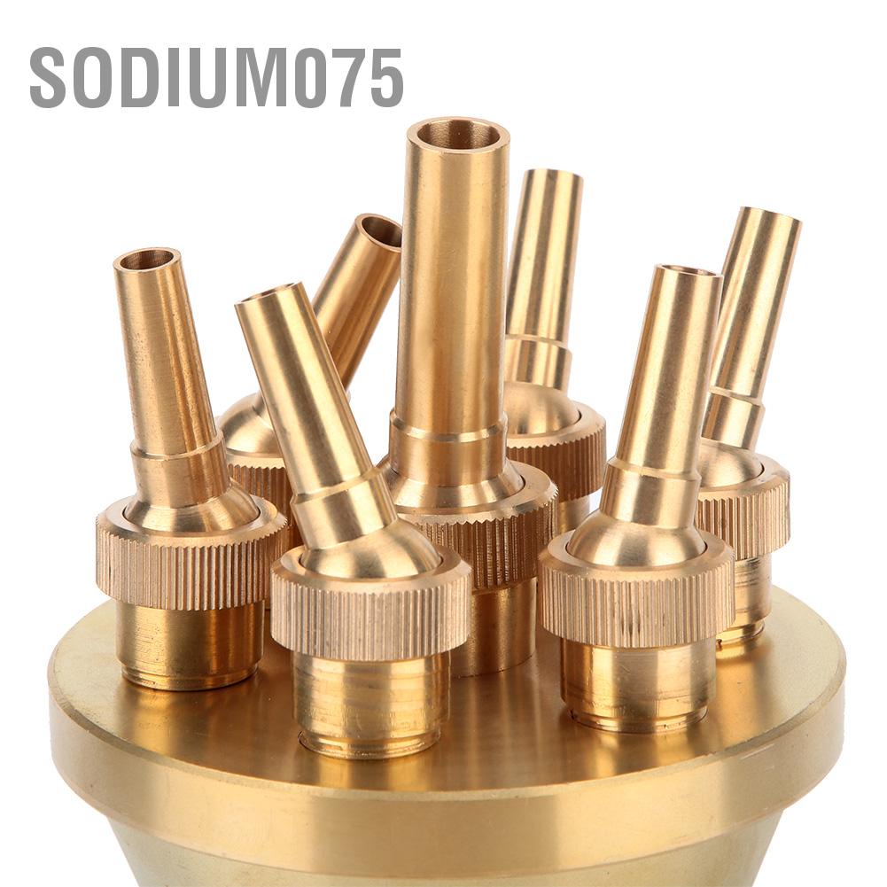 Có thể bán buôn Đầu phun nước hoa có thể điều chỉnh Nhiều vòi phun nước (DN25 / DN40 / DN50) Sodium075 Hàng giao ngay
