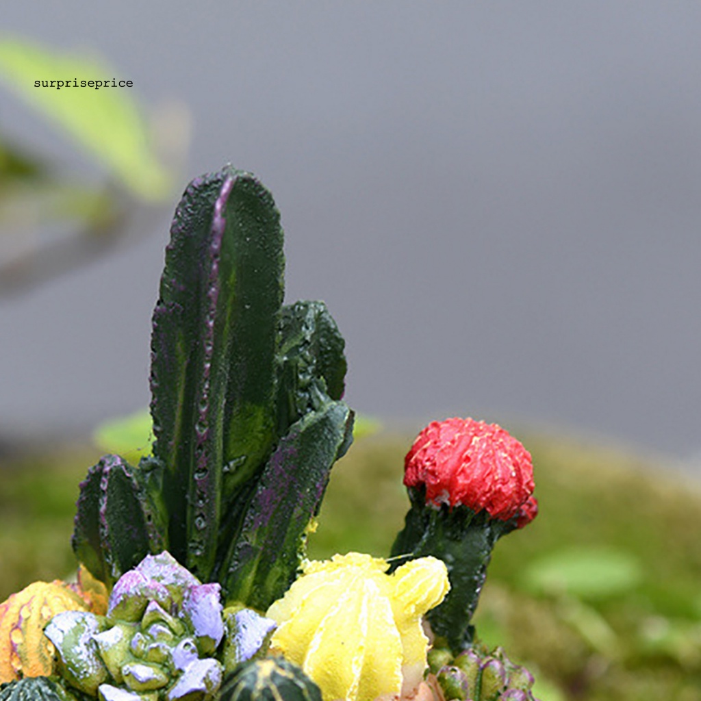 Cây Xương Rồng Giả Bằng Nhựa Resin Dùng Trang Trí Nhà Cửa