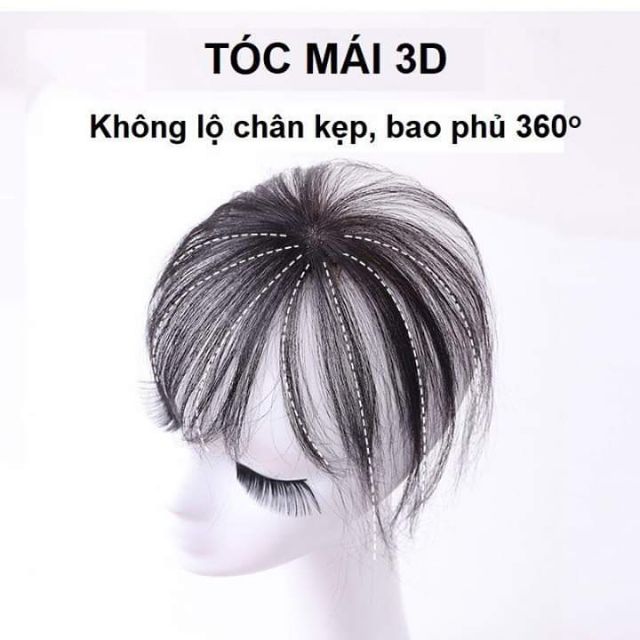Mái 3d 360độ