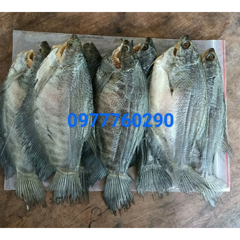 500GR KHÔ CÁ SẶC RẰN (7CON)