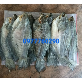 500gr khô cá sặc rằn