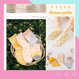 Set 3 đôi vớ tất nữ ngọt ngào xinh xắn TN112