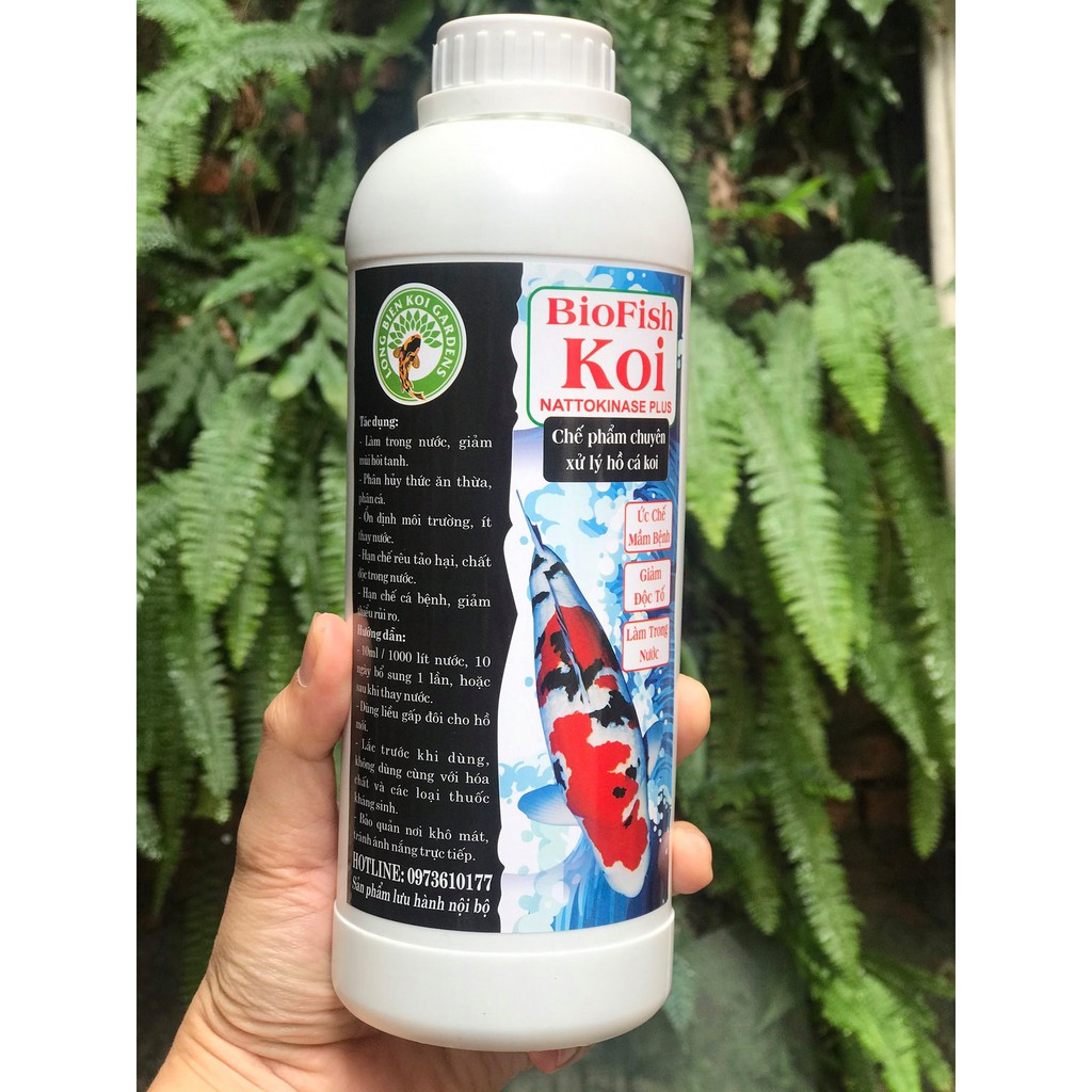 BIOFISH KOI- Chai Vi Sinh làm trong nước bể cá thể tích 1000ml( tặng kèm cốc đo châm vi sinh)