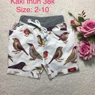 Quần kaki thun 8-33kg