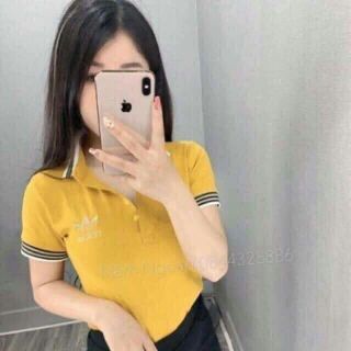 Áo thun cổ đức bozip