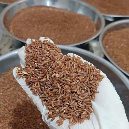 Trà Gạo Lứt Đậu Đen Xanh Lòng Cô Gái Bhnong Trà Thảo Mộc Giải Độc Cơ Thể Eatclean Giảm Cân Tốt Cho Sức Khỏe 500gr