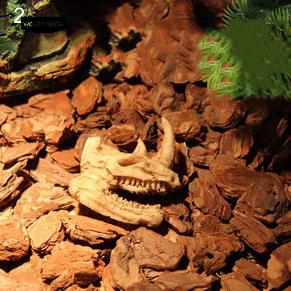 Đầu lâu trang trí hồ cá