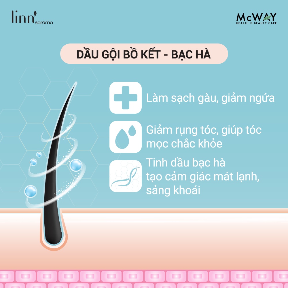 Linn'saroma - Dầu Gội Thiên Nhiên Bồ Kết-Bạc Hà - Dành cho tóc thường, giúp tóc chắc khỏe, sạch sâu 400ml