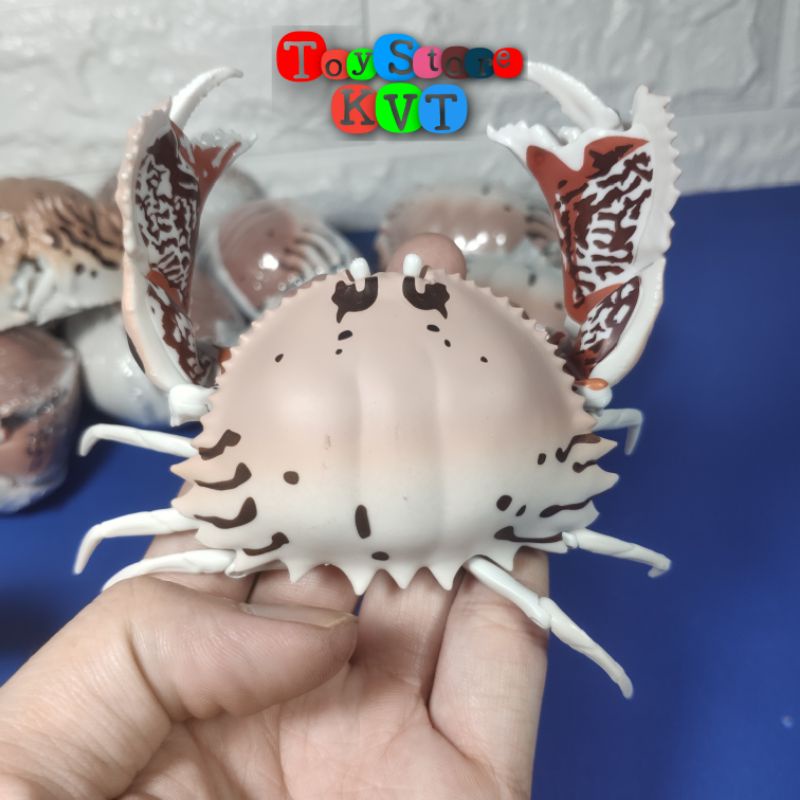 Mô Hình Gachapon Cua Hộp Sọc đỏ Red-streaked Box Crab (Dango Mushi 06 by Bandai)