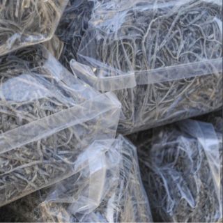 1kg Phổ tai