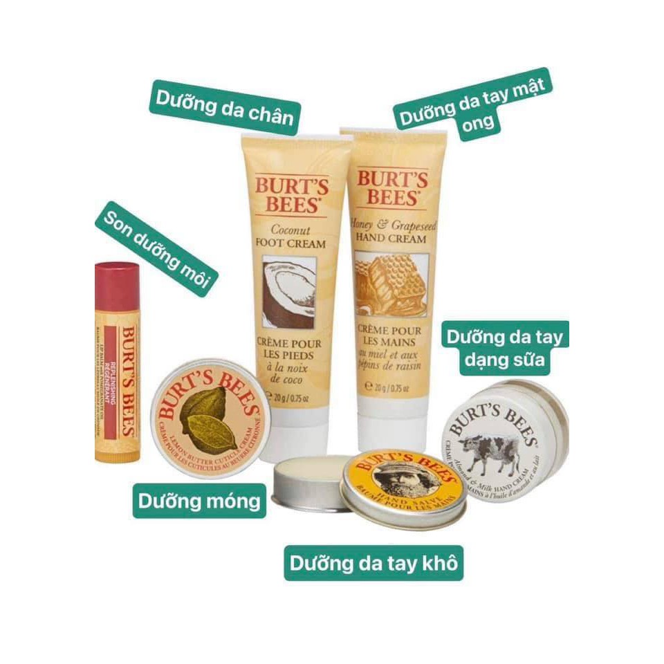 Set dưỡng môi, tay, chân Burt’s Bees Tips and Toes Kit