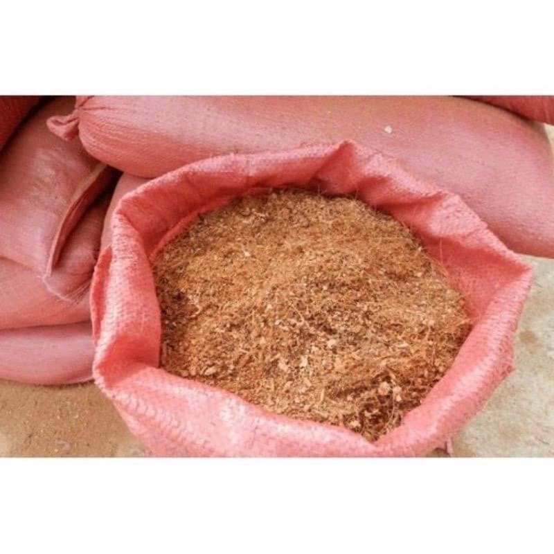 1 bao sơ dừa đã qua xử lý