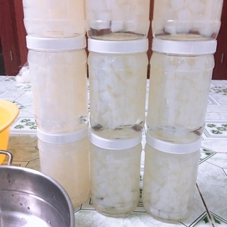 Thạch dừa thô giá sỉ
