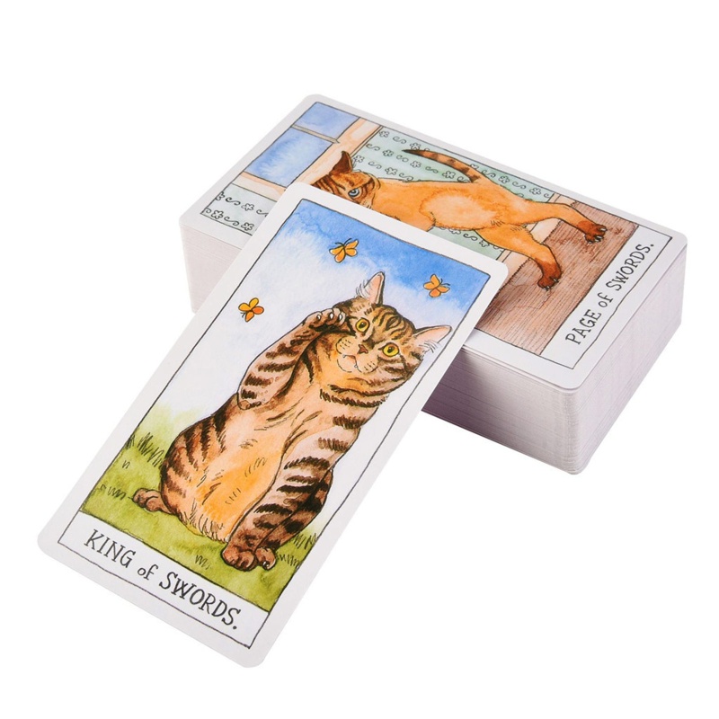 Bộ Bài Tarot 12x7cm 4 72x2 75 Inch In Hình Mèo Và Chữ Tiếng Anh Độc Đáo