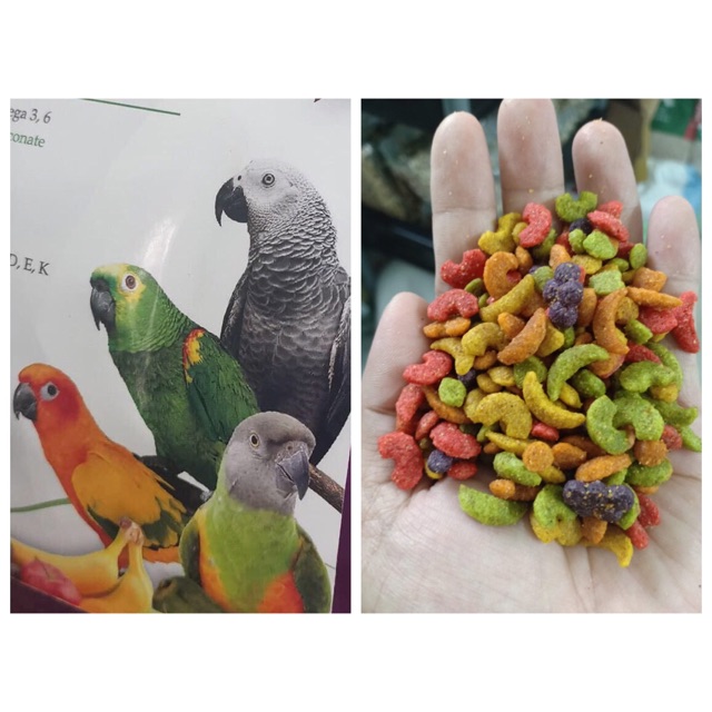 100g Hạt trái cây dinh dưỡng chim vẹt .