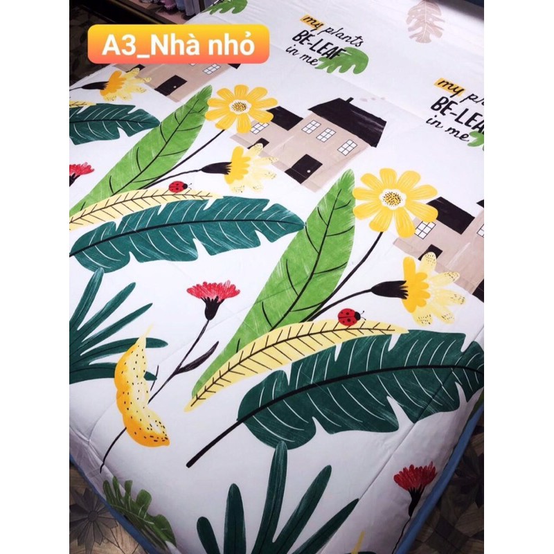 Chăn hè đũi zaza home hàng loại 1