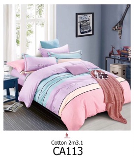 Bộ drap hàn quốc 100% cotton