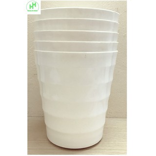 5 Chậu Nhựa Trồng Hoa Cây Cảnh Bình Thuận Plastic VT 205x145x225